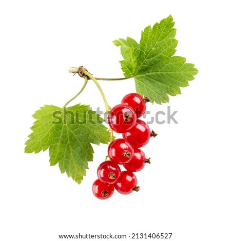 Close-up of red currant or redcurrant berries with leaves isolated on white background. Royalty-Free Stock Photo #2131406527