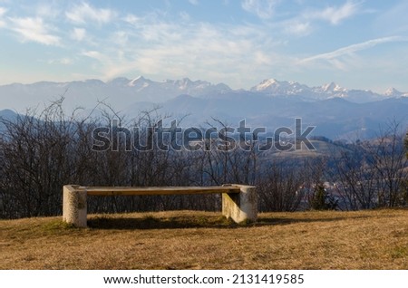 An empty bench in the nature