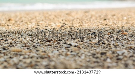 Ocean Beach images shells sands waves 