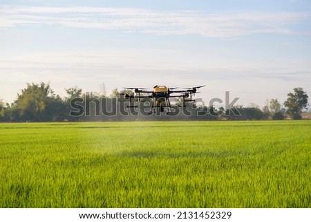 Agriculture drone flying and spraying fertilizer and pesticide over farmland,High technology innovations and smart farming Royalty-Free Stock Photo #2131452329