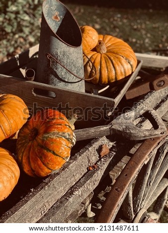 Beautiful autumm picture of pumpkins on a wagon