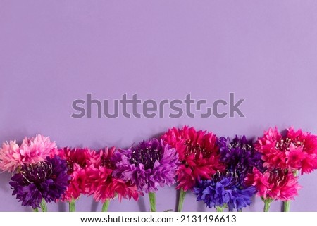 Banner with beautifully colored flowers. High quality photo