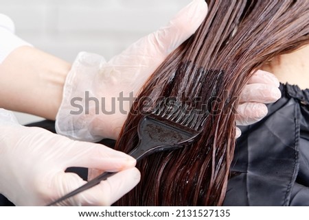The hairdresser paints the woman's hair in a dark color, apply the paint to her hair. Getting beauty procedures. Barber hair dye is applied with a brush Royalty-Free Stock Photo #2131527135