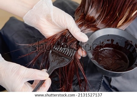 The hairdresser paints the woman's hair in a dark color, apply the paint to her hair. Getting beauty procedures. Barber hair dye is applied with a brush Royalty-Free Stock Photo #2131527137