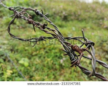 Close up photo of rusty galvanized iron barbed wire with blurry background.