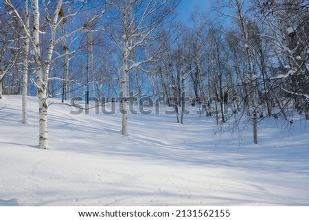 There is beautiful winter landscape in Hokkaido