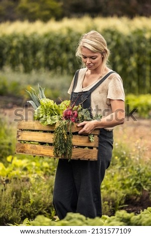 Woman harvesting on her organic vegetable farm. Young female farmer holding a box full of freshly picked produce in her garden. Self-sufficient female farmer gathering fresh vegetables. Royalty-Free Stock Photo #2131577109