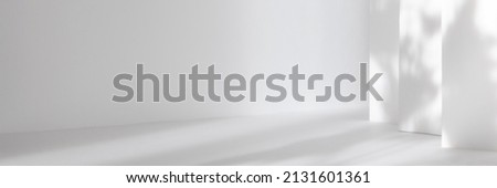Abstract white 3d studio background for cosmetic product presentation. Empty grey room with shadows of window. Display product with blurred backdrop. Banner Royalty-Free Stock Photo #2131601361