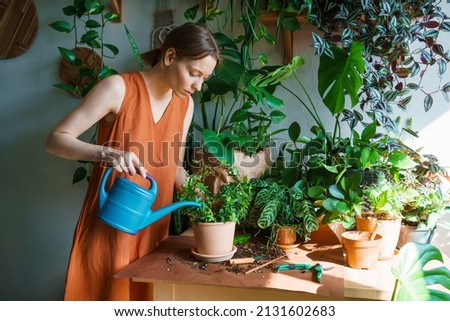 Happy woman watering in room close-up, carefully water plants using watering can. Caucasian happy girl enjoy planting and watering flower and indoor space. Royalty-Free Stock Photo #2131602683