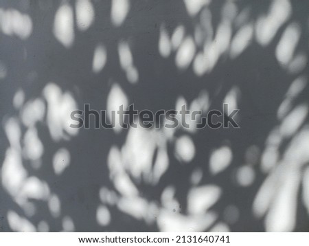 Tree shadow on a white wall natural abstract background.