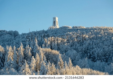 A photo of snow-covered forest and a monument on top of the hill