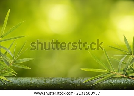Spa still life with bamboo leaves on bokeh nature background.Space for text.