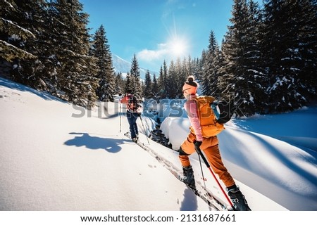 Mountaineer backcountry ski walking ski alpinist in the mountains. Ski touring in alpine landscape with snowy trees. Adventure winter sport. Royalty-Free Stock Photo #2131687661