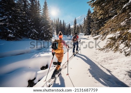 Mountaineer backcountry ski walking ski alpinist in the mountains. Ski touring in alpine landscape with snowy trees. Adventure winter sport.