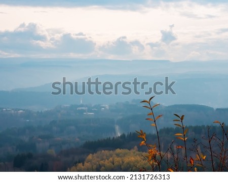 Twigs with yellow foliage against the background of autumn wooded hills in a foggy haze and a cloudy sky