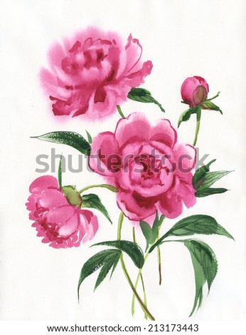 Watercolor bouquet of peonies-1