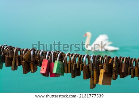 Love locks and a white swan in Siofok, Balaton Royalty-Free Stock Photo #2131777539
