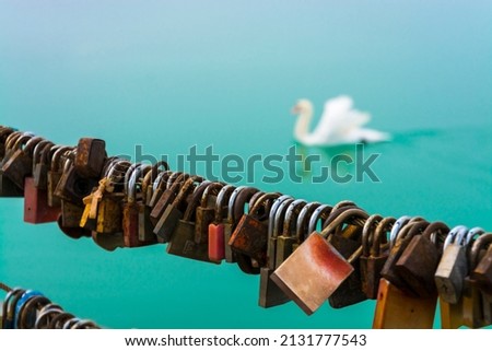 Love locks and a white swan in Siofok, Balaton Royalty-Free Stock Photo #2131777543