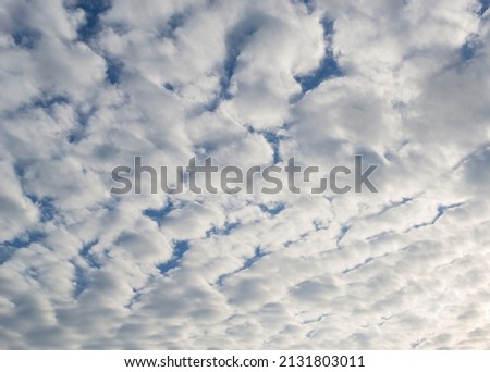 Landscape, cumulus clouds illuminated by the sun, cloudy sky, autumn weather, natural background. 