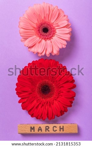 International Women's Day. Beautiful postcard for March 8. Drawing of eight gerbera flowers with text happy women's day on lilac paper background. Holiday concept. Copy space.Top view.