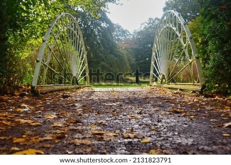 A beautiful shot of a park during autumn