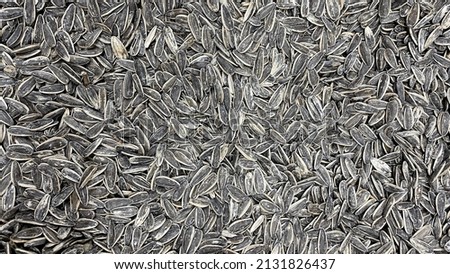 organic, roasted sunflower seed for background uses