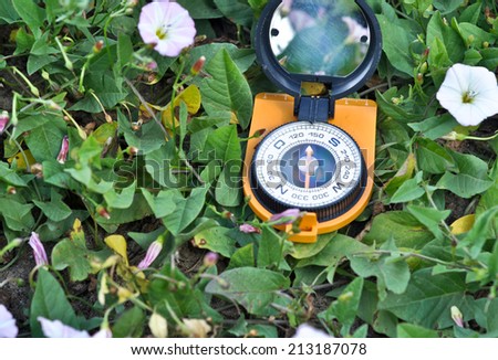 Compass in the grass. The magnetic compass is green grass on the meadow in July.