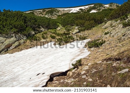 Amazing Summer Landscape of Pirin Mountain near Popovo Lake, Bulgaria