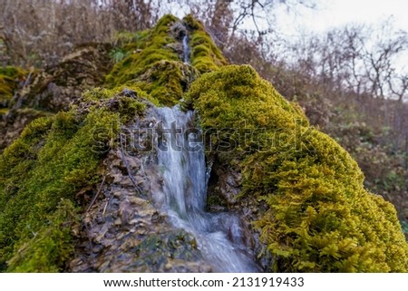 Natural spring with mineral drinking water in the wild with stones overgrown with moss. Background or backdrop with copy space for text