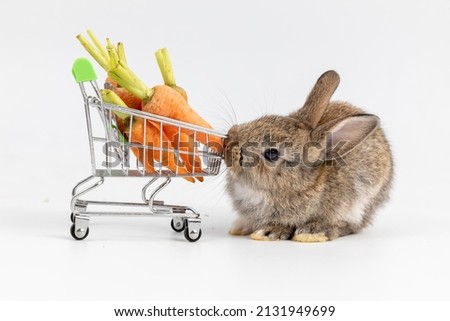 Lovely bunny easter fluffy baby brown rabbit love to eat carrot is holding shopping cart full of green vegetable, carrots, on nature background. Delicious healthy green good food. Healthy lifestyle.