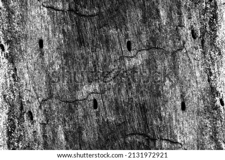Rustic grunge textured wooden background of old dried tree stump