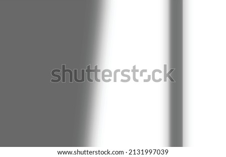 shadow overlay vector isolated on transparent background for presentations and mock ups, minimal tropical plants and window frame scene, indoor light effect with sunshine and rays