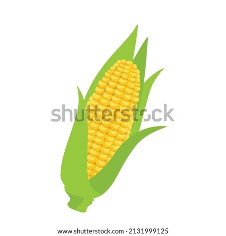Corncob isolated on white background. Sweet golden corn. Vector Royalty-Free Stock Photo #2131999125