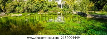 Green seaweed and waters of the Sorgue river in Fontaine-de-Vaucluse village in Provence, France Royalty-Free Stock Photo #2132004449