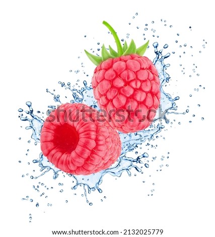Raspberry in water splashes isolated on white background.