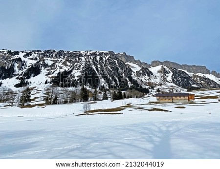 Snow-capped alpine peak Gulmen (or Gulme, 1998 m) in Alpstein mountain range and in Appenzell Alps massif, Wildhaus - Canton of St. Gallen, Switzerland (Schweiz)