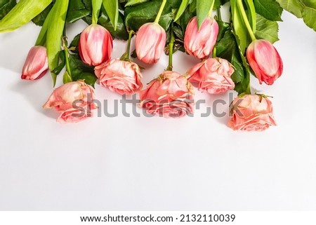 Bouquet of fresh delicate roses and tulips isolated on white background. Romantic gift concept, pink flowers. Mothers, Valentines, or Woman Day. Mockup, template, greeting card, flat lay, top view