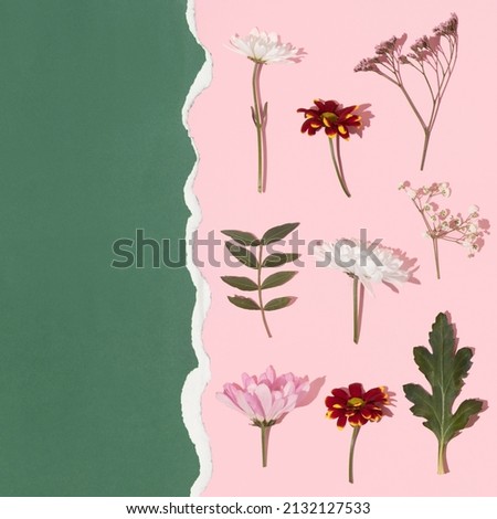 Spring creative layout with colorful flowers on pastel pink torn paper and bright green background. 80s, 90s retro romantic aesthetic summer concept. Minimal botanical herbarium idea. Royalty-Free Stock Photo #2132127533