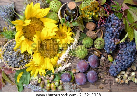 autumn background with nuts fruit and leaves