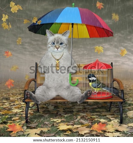 An ashen cat sits on a bench under a colorful umbrella in the fall park. A  cage with a bird is next to him.