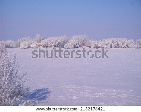 Snowy and frosty landscape winter scene