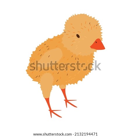 Isometric poultry farm chicken composition with isolated image of young chick vector illustration