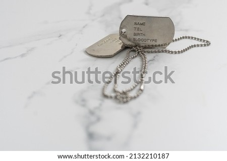 Pair of Blank Metal Tags. Isolated on a White Background.