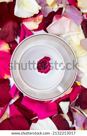 ceramic cup with a rose inside on a background of petals. A photo with a place for the text.
