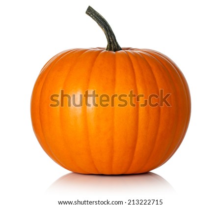Pumpkin on white background. Fresh and orange Royalty-Free Stock Photo #213222715