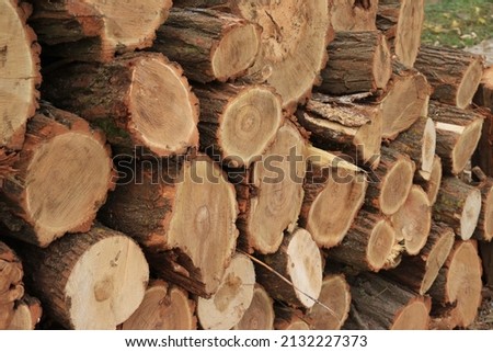 The sawn logs lie exactly in a row. Sawn tree trunks. The ends of the logs. Wood texture. Logs with bark. Firewood for a fire or stove. Backgrounds and textures. Light brown color scheme. Logging Royalty-Free Stock Photo #2132227373