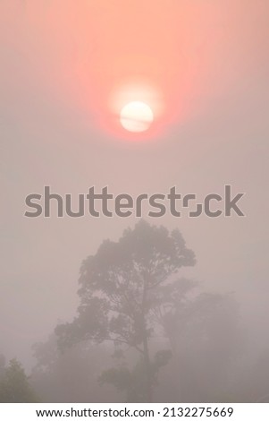 Blurred natural landscape scenery of sunrise over misty fog in rain forest