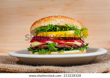 close up of homemade hamburger on white plate