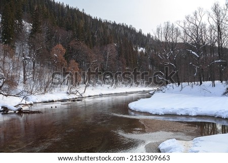 Winter landscape of the lake. river. A beautiful pond with tall Christmas trees. The green sea. Park. The ground is covered with snow. For postcards.