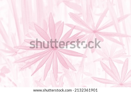 Pale pink gradient abstract background. Pastel. Flowers pattern